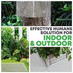 Petfolio 12 Pack Scat Mat for Cats - 16 x 13 Inch Cat Spike Mat with 1 Inch Spike is A Perfect Pet Training Mat Device for Cat Repellent Indoor & Outdoor to Deter Cats & Other Animals for All Seasons