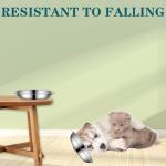 4Packs Cat-Bowls Cat Food Bowl - 6.1 Inch Stainless Steel Cats Feed Bowl for Indoor Cats Shallow and Wide Wet Food Plate Pet Feeding Whisker Fatigue Relief Pet Plate for Kitten Puppy (Type-B)