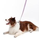 Soft Leather 4ft Dog Collar and Leash Set,Stylish 4ft PU Leather Dog Training Leash, Adjustable Durable Pet Collars with Quick Release Buckle for Large Dogs,Medium Dogs,Purple