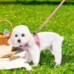 EXPAWLORER Classic Plaid Puppy Harness - Small Dog Harness and Leash Set - Dog Collar and Leash Set with AirTag Holder, Soft Padded Step in Dog Vest Harness No Pull Reflective for Outdoor, Pink XS