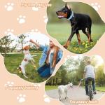 48 Pcs Puppy Collar and Leash Set Polypropylene Adjustable Small Dog Collar and Leash Set Pet Collars for Medium Dogs Small Pet Puppy Walking Training with Hook and Buckle(Multicolor,Paws Pattern)