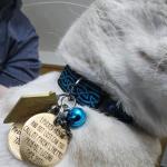 Funny Dog Tag,Stainless Steel Pet ID Tags, Personalized Got Lost Dog Collar Tag Puppy Tag Pet ID Tag,Call My Mom Before She Loses Her Shit , Gift for Small Large Dogs Cats (I fu*ked around（MOM）)