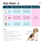 Pawaboo Small Dog Harness and Leash Set, Puppy Harness X-Frame No Pull No Choke, Dog Vest Harness Adjustable for Small Medium Sized Dogs, Soft Breathable Pet Harness for Walking Outing, S, Magenta