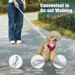 Pawaboo Small Dog Harness and Leash Set, Puppy Harness X-Frame No Pull No Choke, Dog Vest Harness Adjustable for Small Medium Sized Dogs, Soft Breathable Pet Harness for Walking Outing, S, Magenta