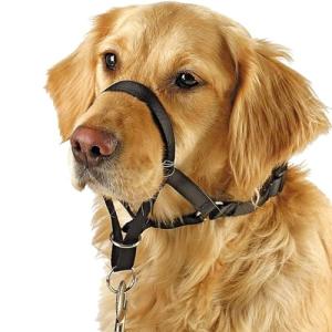 BARKLESS Soft Dog Head Collar, No Pull Training Tool for Small Dogs on Walks, Gentle Halter for Heavy Pullers, Includes A Training Guide