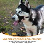 BARKLESS Soft Dog Head Collar, No Pull Training Tool for Small Dogs on Walks, Gentle Halter for Heavy Pullers, Includes A Training Guide