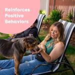 Pupford Freeze Dried Training Treats for Dogs & Puppies, 475+ Two Ingredient Bites (Salmon, 4 oz)