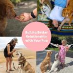 Pupford Freeze Dried Training Treats for Dogs & Puppies, 475+ Two Ingredient Bites (Salmon, 4 oz)