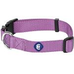 Blueberry Pet Essentials Matching Medium Dog Collar | Adjustable Classic Solid Color Nylon Dog Collars for Small Dogs | Purple Dog Collar for Small Dogs
