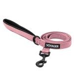 Best Pet Supplies Voyager Reflective Dog Leash or Collar with Neoprene Handle, for Small, Medium, and Large Breed Puppies, Cute and Heavy Duty for Walking, Running and Training - Pink (Leash), S