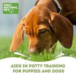 ONLY NATURAL PET No Marking Deterrent Spray for Dogs – Indoor Outdoor Urine Prevention - Stain & Odor Eliminator - Potty Pet Training Aid to Deter Peeing or Marking Carpet or Furniture – 32 Fl Oz