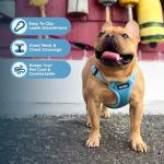 Best Pet Supplies Voyager Adjustable Step-In Flex Breathable Mesh Dog Harness for Small Medium Large Dogs (Baby Blue), M