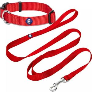 Blueberry Pet Essentials Matching Dog Collar and Double Handle Leash Set in Rouge Red, Adjustable Classic Solid Color Nylon Collar with 4 ft Leash for Large Dogs