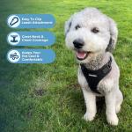 Voyager Step-in Pet Harness - All Weather Mesh, Adjustable Step in Harness for Cats and Dogs by Best Pet Supplies - Black, M