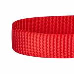 Blueberry Pet Essentials Matching Dog Collar and Double Handle Leash Set in Rouge Red, Adjustable Classic Solid Color Nylon Collar with 4 ft Leash for Large Dogs