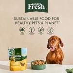Freshpet Fresh Dog Food, Fresh Grass-Fed Beef & Brown Rice Recipe Roll, 1.5 lb.