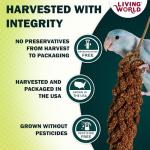 Living World - Millet Spray for Birds, 3.5 Oz – Premium Treat for Budgies, Canaries, Finches, Cockatiels and Other Pet Birds