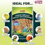 Living World - Millet Spray for Birds, 3.5 Oz – Premium Treat for Budgies, Canaries, Finches, Cockatiels and Other Pet Birds