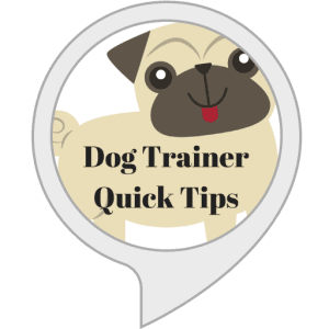 Dog Trainer Quick Tips