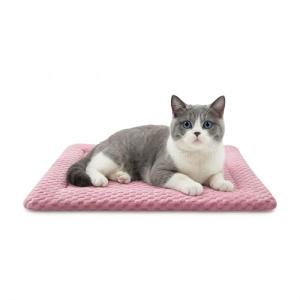 Dog Bed Mat, Dual-Sided Dog Crate Bed Mat - Ultra Soft & Machine Washable Kennel Pad for Cats and Extra Small Dogs, All-Season Comfort Pet Bed for Crates, Travel, and Home, Pink, 18 x 14 Inch