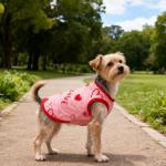 Topbuti 4 Pack Dog Shirts Summer Pet T Shirts Puppy Clothes Dog Clothing Breathable Cat Sleeveless Vest for Small Dogs Cats (Medium, Love)