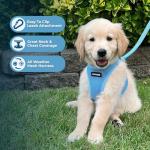 Best Pet Supplies Voyager Step-in Air Harness - All Weather Mesh, Reflective, No Pull Harness for Dogs, Cats - Secure with Hook & Loop Fastener, Buckle, Double D-Rings - Baby Blue, XS