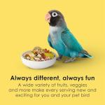 Kaytee Fiesta Big Bites Small Parrot & Conure Food, Nutritious and Fun Blend, Supports Skin, Feather, Digestion, Brain and Heart Health, 4 pounds