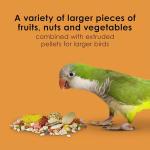 Kaytee Fiesta Big Bites Small Parrot & Conure Food, Nutritious and Fun Blend, Supports Skin, Feather, Digestion, Brain and Heart Health, 4 pounds