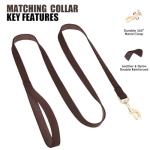 PET ARTIST Soft PU Leather Dog Collar and Leash Set, Bright & Stylish 5FT PU Leather Leash and Collar Set, Durable Pet Collars with Quick Release Metal Buckle for Large Dogs,Brown,L(16-27")