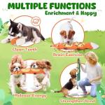 XIUGOAL Dog Toys for Aggressive Chewers, 2 Pack No Stuffing Interactive Dog Toys for Boredom and Teething, Squeaky Chew Toy for Small, Medium Breed to Keep Them Busy