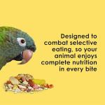 Kaytee Fiesta Big Bites Small Parrot & Conure Food, Nutritious and Fun Blend, Supports Skin, Feather, Digestion, Brain and Heart Health, 4 pounds