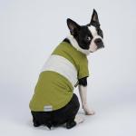 Fitwarm 3 Pack Color Block Striped Dog Shirt, Summer Dog Clothes for Small Dogs, Breathable Lightweight Pet Tshirt with Sleeves, Chihuahua Outfit, Oliver Green, Grey, Black, XS