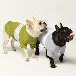 Fitwarm 3 Pack Color Block Striped Dog Shirt, Summer Dog Clothes for Small Dogs, Breathable Lightweight Pet Tshirt with Sleeves, Chihuahua Outfit, Oliver Green, Grey, Black, XS