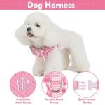 EXPAWLORER Cute Dog Harness Collar Leash Set - Pink Girl Dog Harness Checkered Step-in Design, Detachable Bow Pet Collar, Adjustable No-Choke Lightweight Mesh Vest for Cats Puppy Small Dogs, S