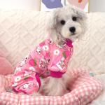 XPUDAC 4 Pack Dog Pajamas for Small Medium Dogs, Strechy Soft Puppy Clothes for Doggie Girl Boy Pet Jumpsuit, Cat Onesie-S