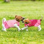 Frienda 4 Pieces Dog Dress for Small Dogs Cute Dog Costumes Puppy Shirt Skirt Dresses Pet Holiday Clothes Apparel for Cats Puppy(M)