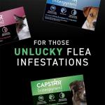 Fast-Acting Flea Treatment Tablets for Cats