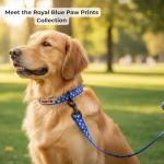 BOLDPET Dog Collar and Leash Set - Durable Polyester Material -Adjustable Collar-Safe Metal Buckle-Cute Pawprints Design Dog Leash and Collar Set for Small, Medium and Large Dogs