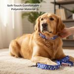 BOLDPET Dog Collar and Leash Set - Durable Polyester Material -Adjustable Collar-Safe Metal Buckle-Cute Pawprints Design Dog Leash and Collar Set for Small, Medium and Large Dogs