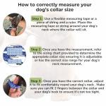 BOLDPET Dog Collar and Leash Set - Durable Polyester Material -Adjustable Collar-Safe Metal Buckle-Cute Pawprints Design Dog Leash and Collar Set for Small, Medium and Large Dogs