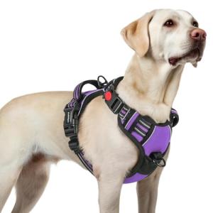 rabbitgoo Dog Harness for Large, No Pull Pet Harness with 3 Buckles, Adjustable Soft Padded Vest with Control Handle, Walking Reflective Pet Vest for Large Dogs, Purple, L