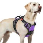 rabbitgoo Dog Harness for Large, No Pull Pet Harness with 3 Buckles, Adjustable Soft Padded Vest with Control Handle, Walking Reflective Pet Vest for Large Dogs, Purple, L