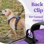 rabbitgoo Dog Harness for Large, No Pull Pet Harness with 3 Buckles, Adjustable Soft Padded Vest with Control Handle, Walking Reflective Pet Vest for Large Dogs, Purple, L