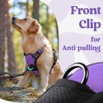 rabbitgoo Dog Harness for Large, No Pull Pet Harness with 3 Buckles, Adjustable Soft Padded Vest with Control Handle, Walking Reflective Pet Vest for Large Dogs, Purple, L