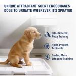 ELENTIA Potty Training Spray for Dogs, Go Here Dog Potty Training Spray & Dog Pee Spray, Puppy Potty Training Aid for Housebreaking, Natural Indoor & Outdoor Use, Blue