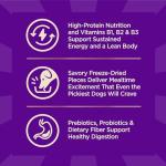 Wellness CORE+ Grain Free Small Breed Dog Food