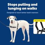 PetSafe Easy Walk No-Pull Dog Harness - Medium/Large