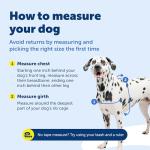 PetSafe Easy Walk No-Pull Dog Harness - Medium/Large