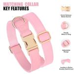 PET ARTIST Soft PU Leather Dog Collar and Leash Set, Bright & Stylish 5FT PU Leather Leash and Collar Set, Durable Pet Collars with Quick Release Metal Buckle for Small Dogs,Pink,S(9"-14")