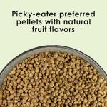 Kaytee Nutri Soft Pet Parrot & Conure Bird Food, 3 Pound
